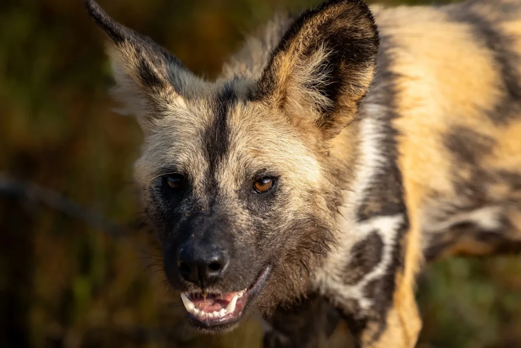 seolo-africa-itinerary-activities-gallery_3