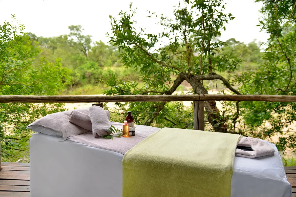 1800px-2026-seolo-africa-rhino-post-inroom-massages-4