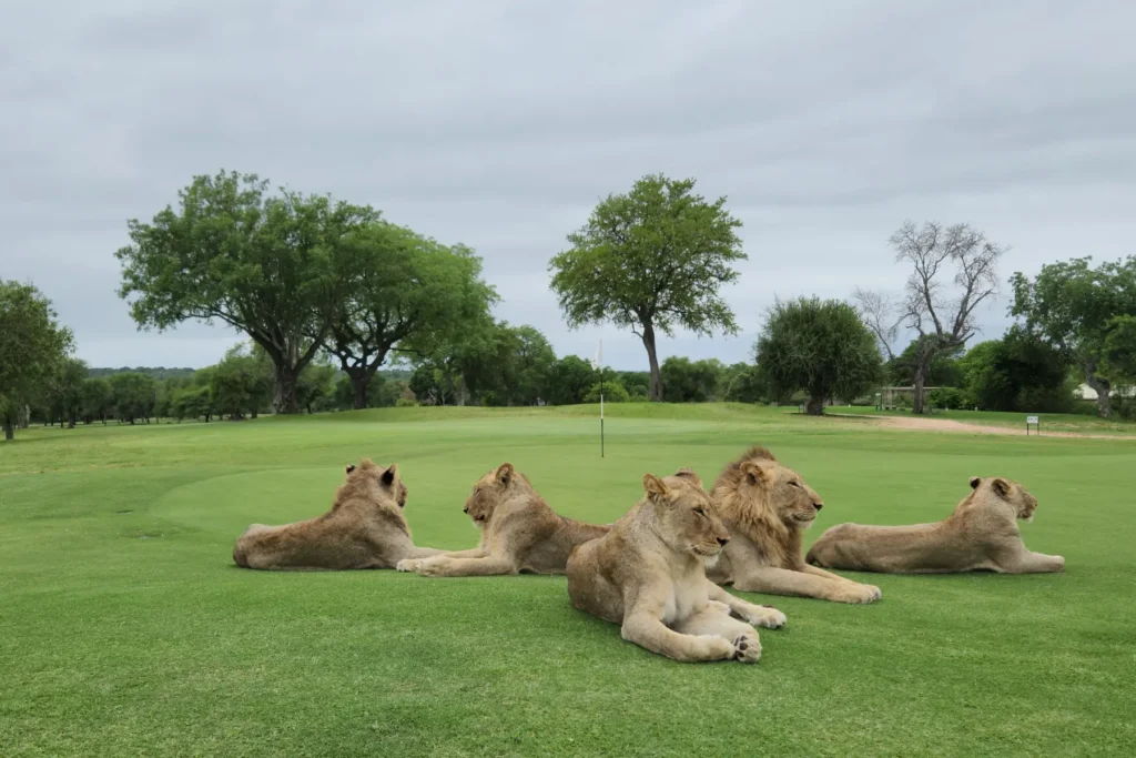 seolo-africa-itinerary-activities-gallery_2