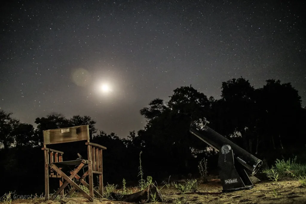 1800px-2026-seolo-africa-rhino-post-star-gazing-1