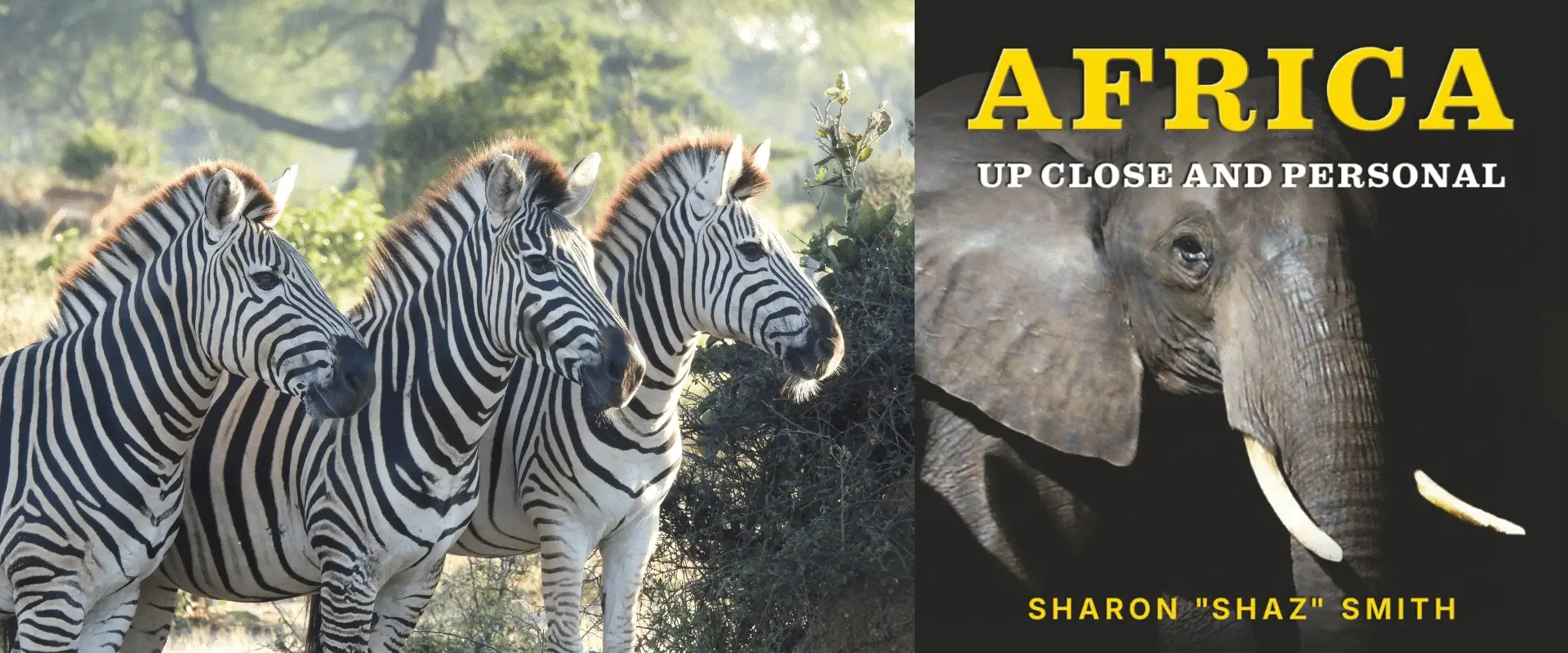 Africa-Up-Close-and-Personal